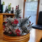 Apartma Vintage Alpine Kranjska Gora