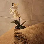 Apartma Vintage Alpine