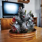 Apartma Vintage Alpine Kranjska Gora